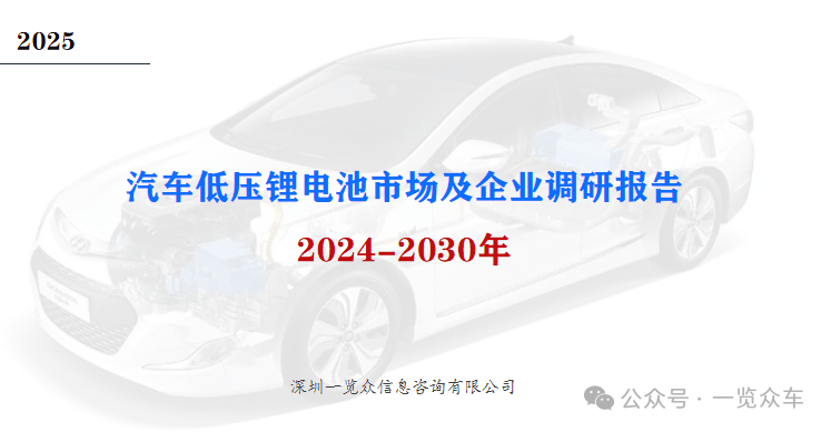 2024-2030年汽车低压锂电池市场及企业调研(图1)